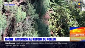 Rhône: attention au retour du pollen