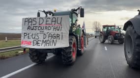 Manifestation des agriculteurs le jeudi 25 janvier 2024 sur l'A35 au sud de Colmar en Alsace. (Illustration)