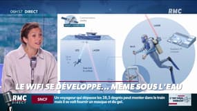 La chronique de Nina Godart : Le wifi se développe même sous l'eau - 22/07