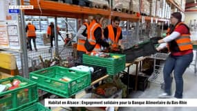Habitat en Alsace : Engagement solidaire pour la Banque Alimentaire du Bas-Rhin