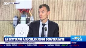 Sébastien Abis: La betterave à sucre, enjeu de souveraineté - 17/11