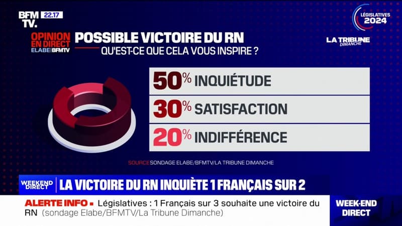 Élections législatives: 1 Français sur 2 se dit inquiet d'une possible victoire du Rassemblement national, selon un sondage Elabe