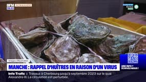 Manche: rappel d'huîtres en raison d'un virus