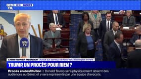 Trump, un procès pour rien ? (2) - 21/01