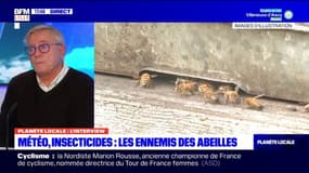 BFM Lille/Grand Littoral: "Planète locale" du 11 octobre 2021 avec Daniel Kania, président d'Abeilles des terrils