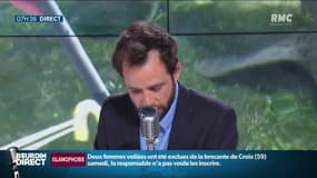 Boulogne-sur-Mer: hécatombe de requins-marteaux à Nausicaà