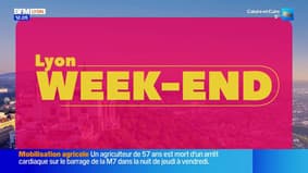 Musées des Beaux-Arts, Paul Mirabel, sport ... Découvrez les sorties à faire dans Lyon week-end