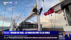 "Grain de Sail": un voilier cargot qui peut transporter plusieurs centaines de tonnes de marchandise