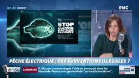 "Dupin Quotidien": l'Europe a-t-elle financé illégalement la pêche électrique?