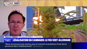 Le gouvernement allemand donne son aval à la légalisation du cannabis récréatif