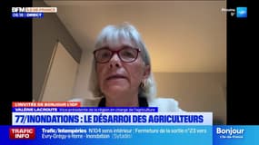 "La décrue va être très longue", déplore la vice-présidente de la région en charge de l'agriculture 