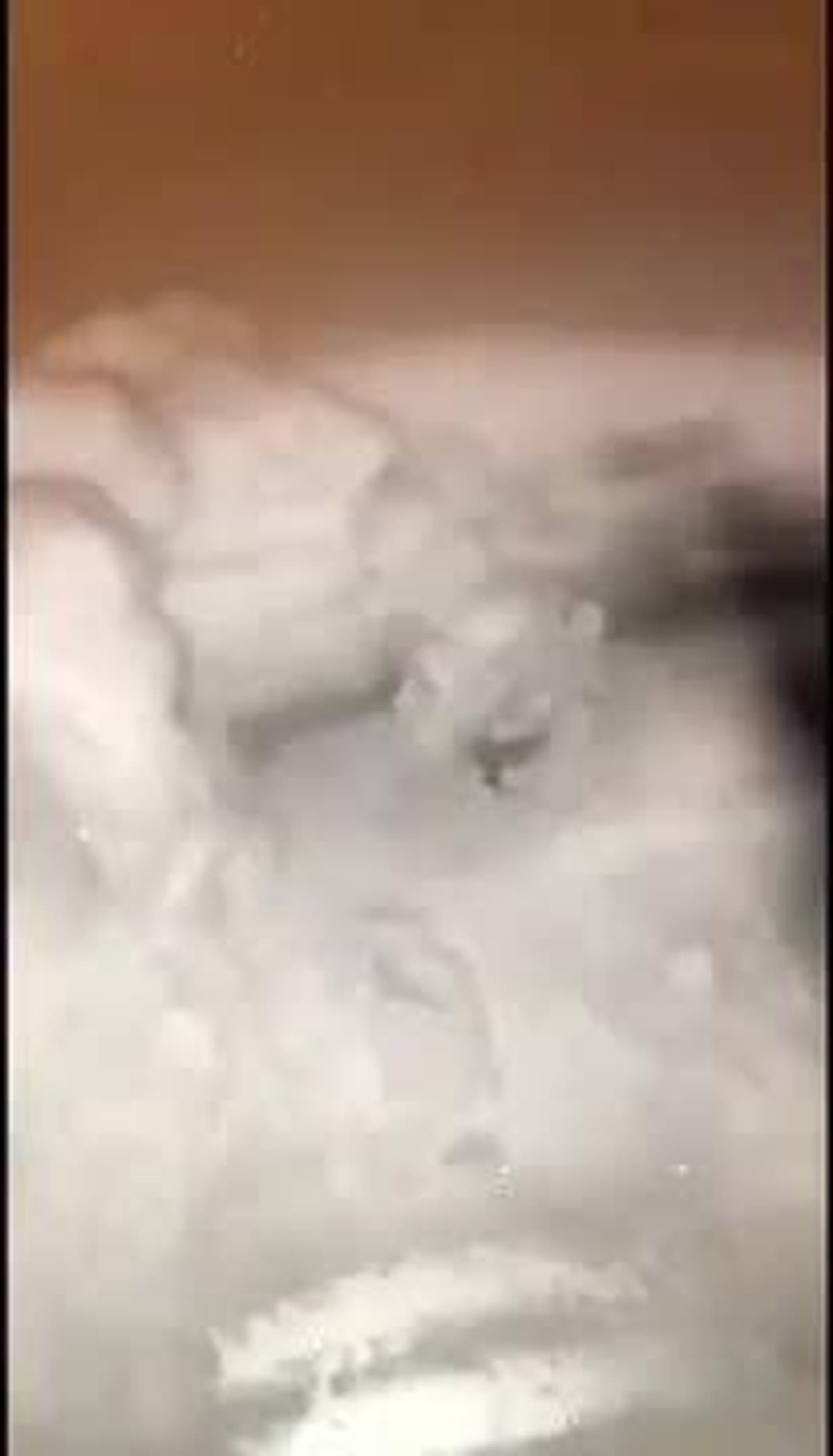 placeholder video