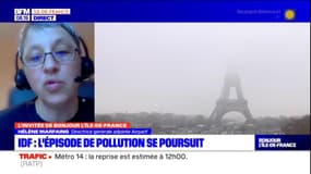Pourquoi un nouvel épisode de pollution de l'air touche l'Île-de-France?