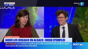 Planète locale du mercredi 4 décembre - Aider les oiseaux en Alsace, mode d'emploi