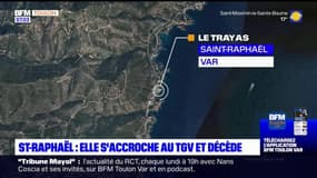 Var: une femme meurt après s'être accrochée au wagon d'un TGV 