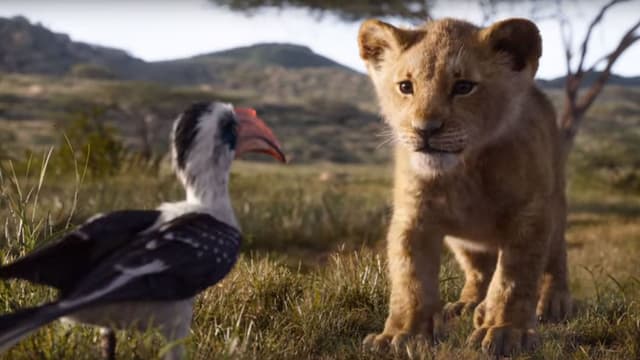Le Roi Lion