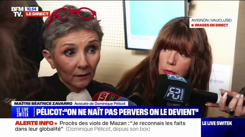 Un viol à l'hôpital de Châteauroux à 9 ans: l'avocate de Dominique Pelicot évoque ses traumatismes