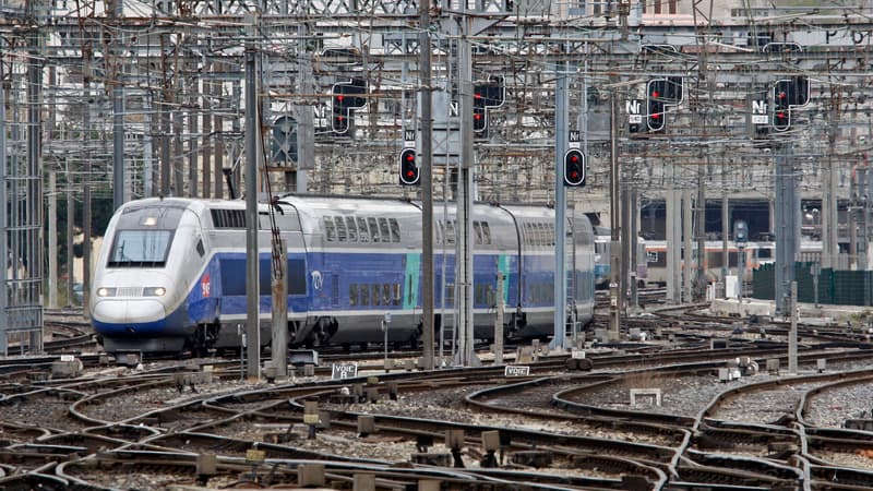 Les 30 000 kilomètres de voies à surveiller sont un véritable défi pour la SNCF