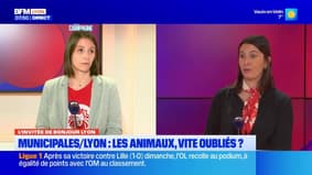 Bonjour Lyon du lundi 2 février 2026