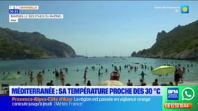 Méditerranée : sa température proche des 30 ° C 