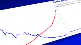 Covid-19 : quelles différences entre les situations sanitaires de la France et du Royaume-Uni ?