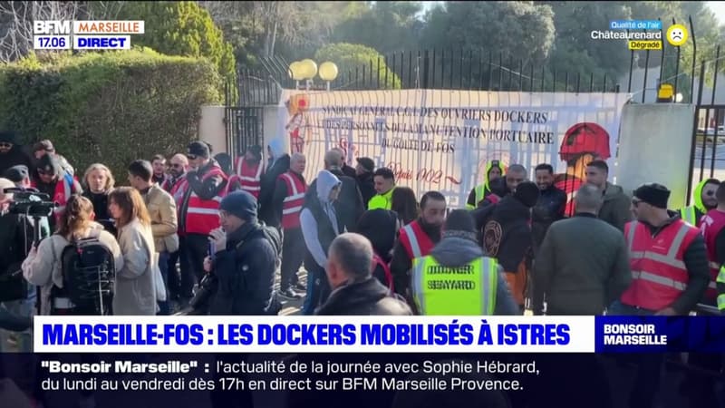 Marseille-Fos: les dockers organisent une opération port mort contre la réforme des retraites