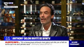"J'espère qu'elle ne reviendra plus" aurait prononcé Alain Delon à propos d'Hiromi Rollin, son ancienne dame de compagnie