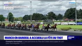 Nord: Marcq-en-Barœul a accueilli la fête du trot