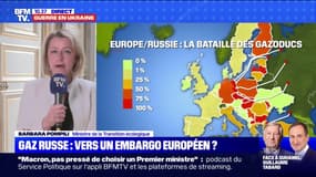 Barbara Pompili sur le gaz russe: "Nous continuerons à payer en euros"