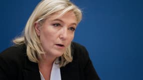 Marine Le Pen, le 16 janvier 2015.