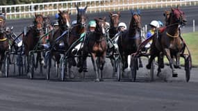 Les pronos hippiques du dimanche 23 juin 2024