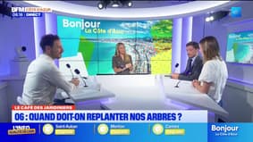 La café des jardiniers avec Julien Gortina : quand doit-on replanter nos arbres ?