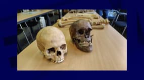 Deux crânes et plusieurs os de soldats de la bataille de Waterloo ont été découverts en Belgique