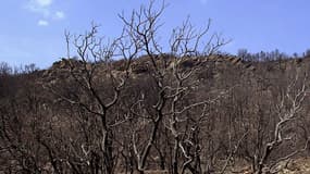 Le massif des Maures est concerné par l'alerte.