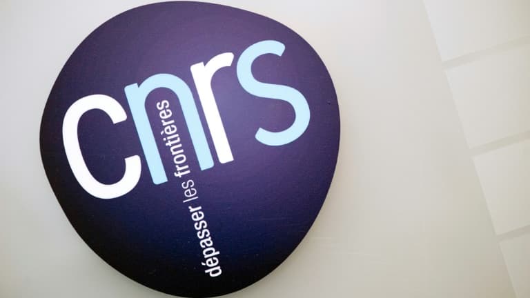 Un directeur de recherche du CNRS de Strasbourg exclu pour un an pour "harcèlement sexuel" de deux doctorantes et une stagiaire