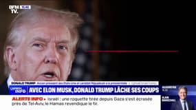 "Coup d'État" contre Joe Biden, les immigrés clandestins comparés à des "zombies"… Ce que se sont dit Donald Trump et Elon Musk lors de leur conversation sur X
