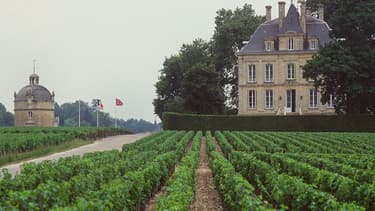 En 2015, la famille Pinault, actionnaire majoritaire, a donné son feu vert pour lancer la certification en bio sur l'ensemble du domaine,