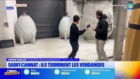 On a rendez-vous : dans les coulisses du domaine Bargemone à Saint-Cannat