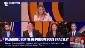 Pierre Palmade : sortie de prison sous bracelet - 15/04 