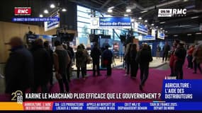 Agriculture : "Je n'obtiendrais pas tout ça si j'étais politisée", estime Karine Le Marchand