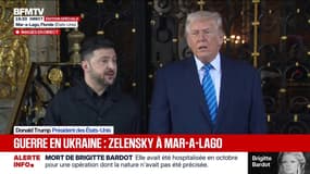 Guerre en Ukraine: Volodymyr Zelensky "remercie" Donald Trump pour "tout ce qu'il fait dans ces négociations"