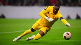 Steve Mandanda - Rennes