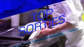Top Sorties du vendredi 20 décembre - Balades de Noël en attelage au haras du Pin