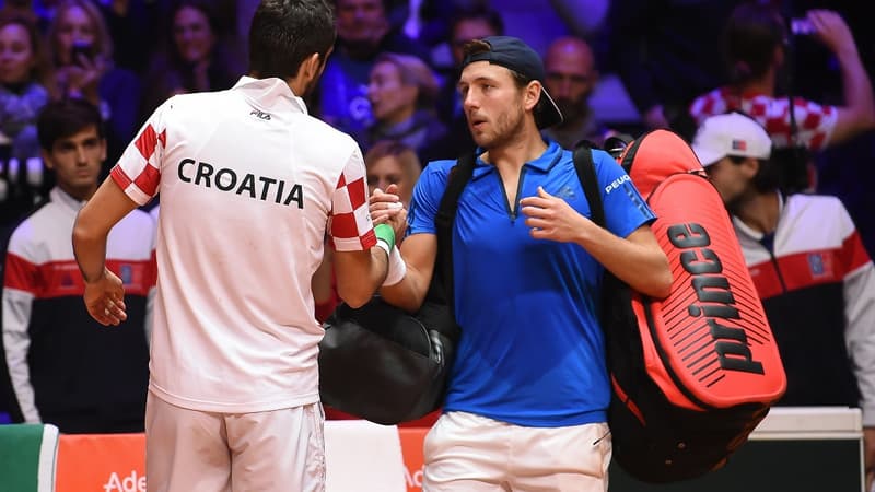 Cilic et Pouille