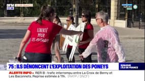 Paris: l'association PAZ dénonce l'exploitation des poneys