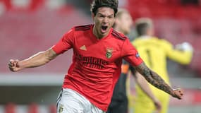 Darwin Nunez - Benfica