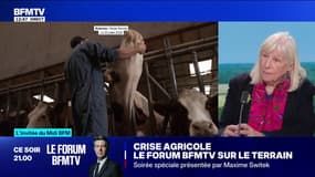 Épidémie de dermatose nodulaire contagieuse: "C'est un vaccin qui est très efficace", assure cette vétérinaire