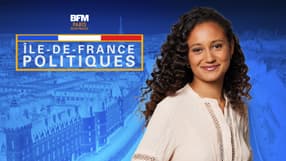 Île-de-France Politiques