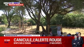 Canicule: à Toulon dans le Var, une classe de CP a été délocalisée dans le parc de l'école