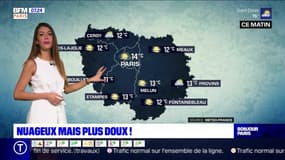 Météo Paris-Île-de-France du 11 juin: Nuageux mais plus doux